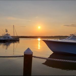 Meet your Posher, Celie ann